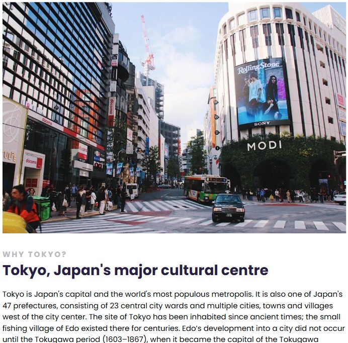 travel webpage image
